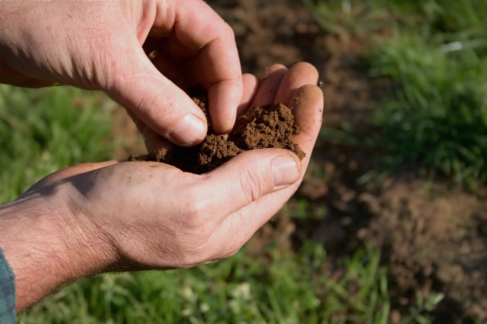 Soil testing saves time, effort