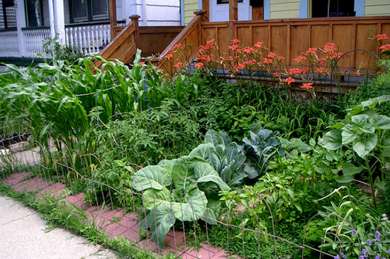 Legal Front Yard Gardens Go Beyond Containers