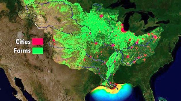 The Gulf of Mexico Is About to Experience a “Dead Zone” the Size of Connecticut