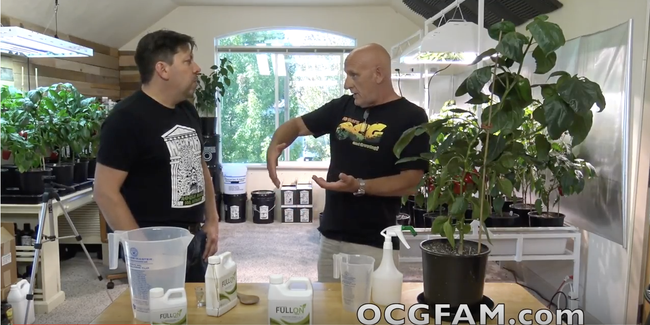 Talking Full On with Bob Oregon’s Constant Gardener